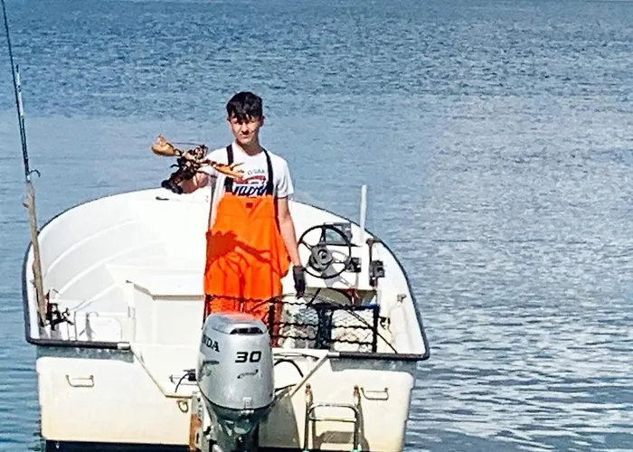 בית נופש 4 Person In Lindas-by Traum *